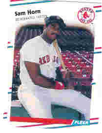1988 Fleer Baseball Cards      355     Sam Horn RC